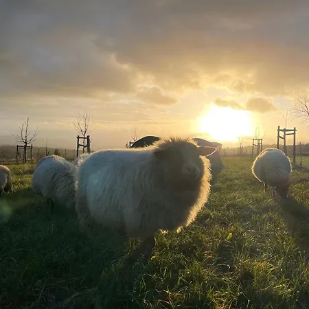 Landquartier - La Primera