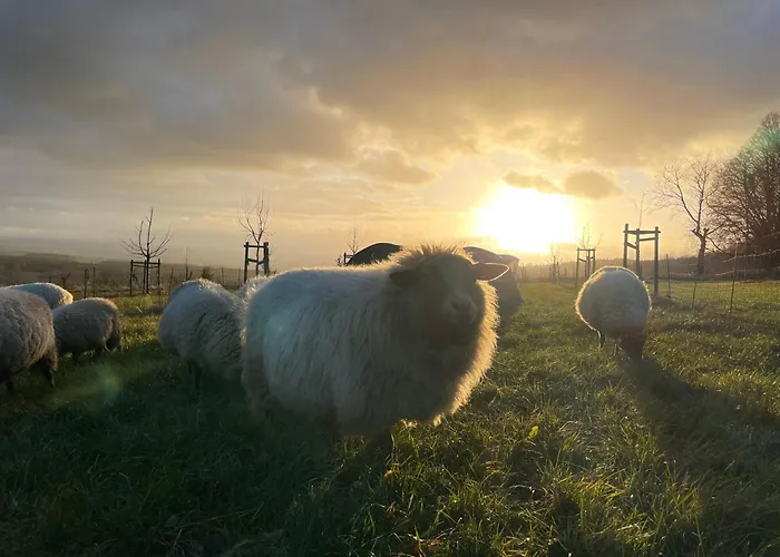 Landquartier - La Primera